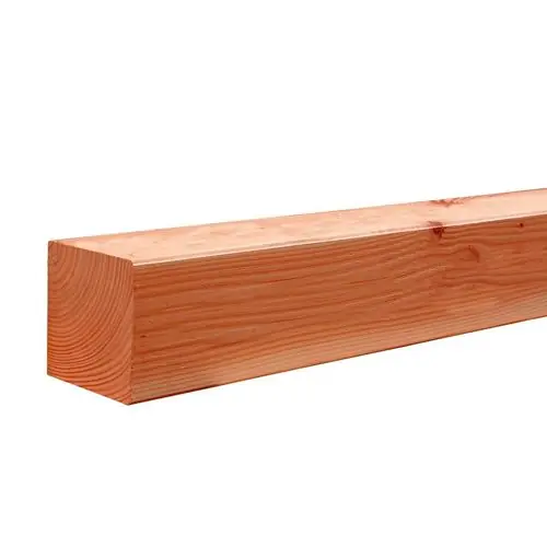 Hete Deal Douglas geschaafde paal 12x12x300 cm