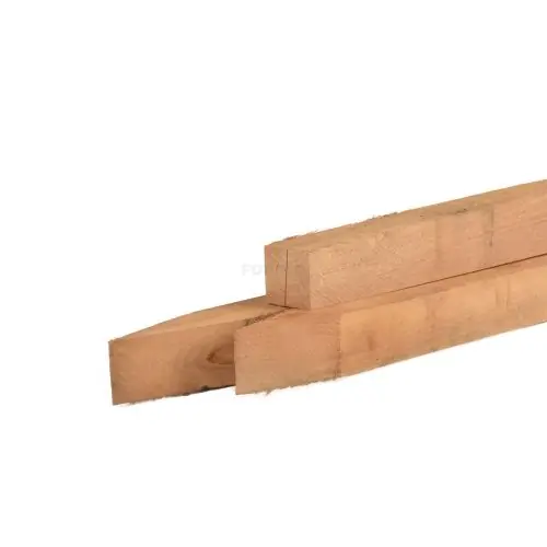 Populair Tuinpaal robinia fijnbezaagd 7x7x250 cm