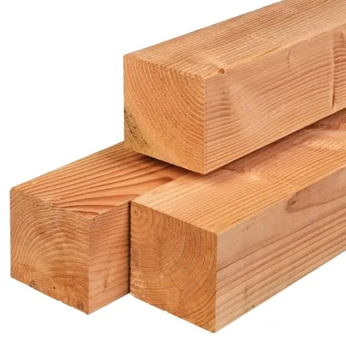 Tuinpaal douglas geschaafd 14x14x300 cm Op = Op