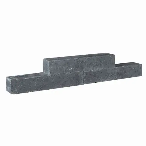 Exclusieve Aanbieding Tegula palissaden getrommeld 11x14x60 cm zwart