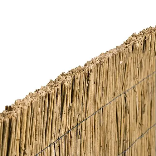 Rieten tuinscherm 100x200 cm Snelle Levering