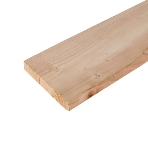 Alleen Vandaag Vlonderplank douglas glad geschaafd 2,8x19,5x300 cm 133047