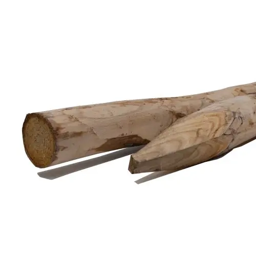 Must-Have Kastanjehouten palen 10-12x250 cm