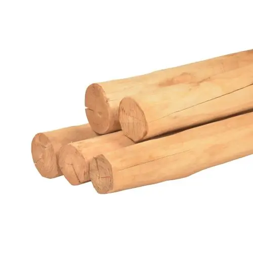 Rechtstreeks Van De Fabrikant Ronde paal robinia spintvrij geschuurd Ø10-14x600 cm
