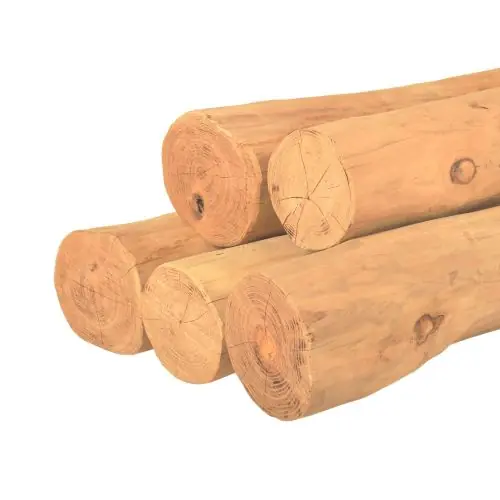 Koop Online Ronde paal robinia spintvrij geschuurd Ø15-19x200 cm