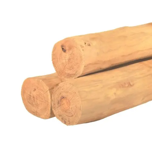 Ronde paal robinia spintvrij geschuurd Ø20-24x600 cm Goedkoop