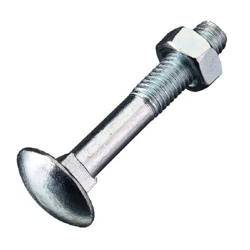 Uitverkoop Slotbouten verzinkt m10x160 mm
