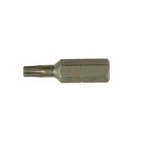 Torx bit T 10 (2 stuks) Direct Beschikbaar