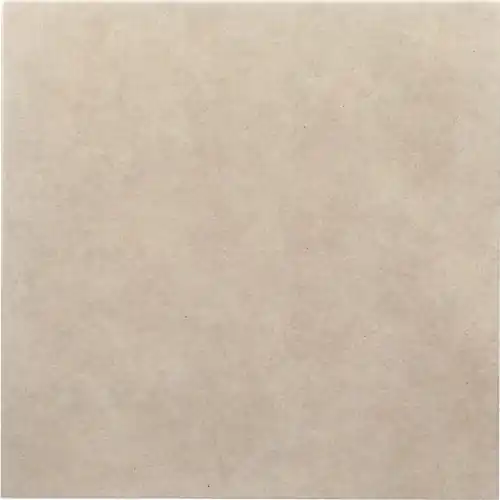 Direct Verzonden Passiona 60x60x3 cm Greige