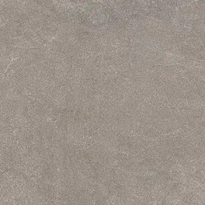 Must-Have Vloertegel/Wandtegel Navale Rarestone Taupe Stonelook 60x120