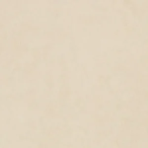 Vloertegel/Wandtegel Douglas Time Cementlook Branco Canvas Beige N-Rect. 30x60 Veilige Betaling