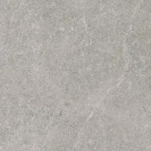 Vloertegel/Wandtegel Douglas Utopia Grey Grijs Geaderd Mat 60x120 Hoge Kwaliteit