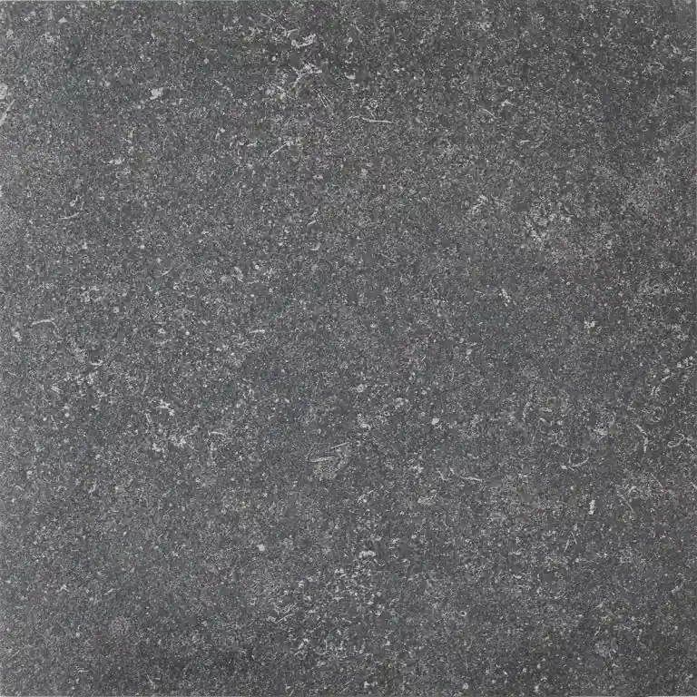 GeoCeramica® Entrée 60x60x4 BB stone Black Flitsaanbieding