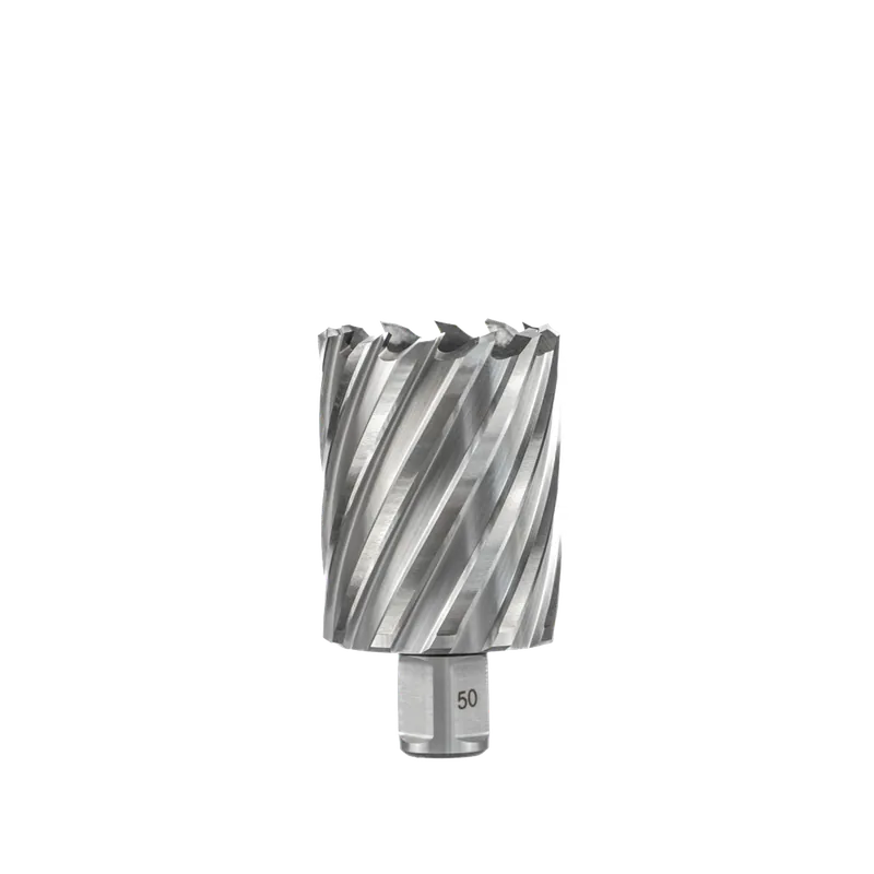 Beste Prijs Euroboor HSS Kernboor 50mm x 75mm
