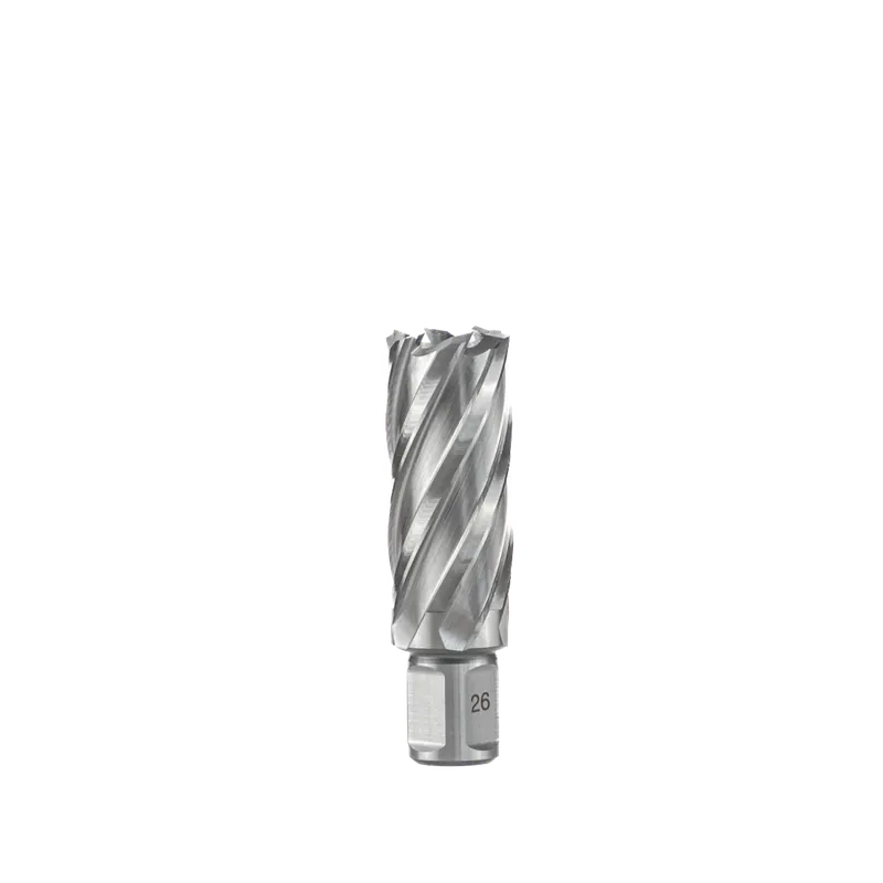 Populair Euroboor HSS Kernboor 26mm x 100mm