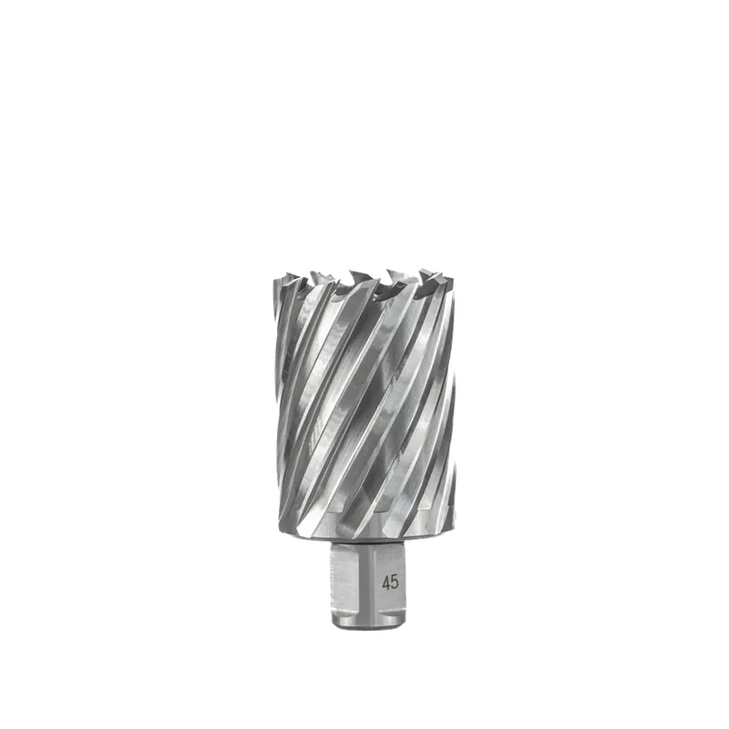 Euroboor HSS Kernboor 43mm x 100mm Alleen Vandaag