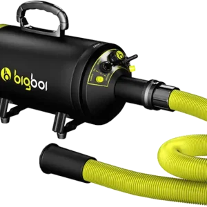 Bigboi BlowR Mini - Auto Droogblazer Bestel Nu