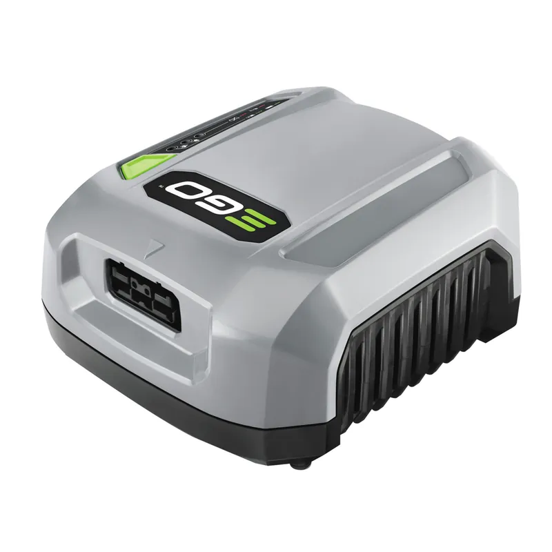 EGO CHX5500E Accu Snellader Hete Deal