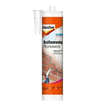 Betaalbaar Alabastine Buitenvoegreparatie - 310 ml