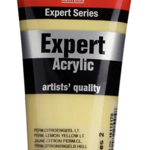 Shop Nu Royal Talens Amsterdam Expert Series Acrylverf Tube 75 ml - Permanentcitroengeel Licht 217