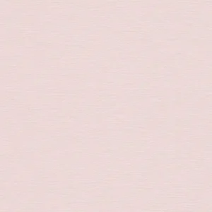 Exclusieve Aanbieding AS Creation PintWalls II - Roze - 389041