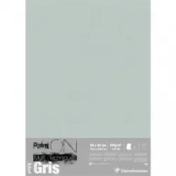 Clairefontaine Painton Mixmedia - Losse Vellen - 250 gr - 15 Blad Per Pak - 50 x 65 cm - Grijs Bestel Nu