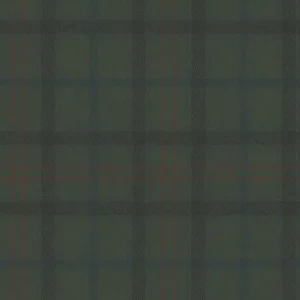 Dutch Wallcoverings Sauvage Ruit - Groen/Rood Dagaanbieding