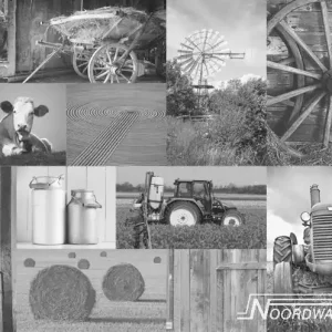 Noordwand Farmlife Fotobehang zwart-wit boerderijfoto's - 3750002 Rechtstreeks Van De Fabrikant