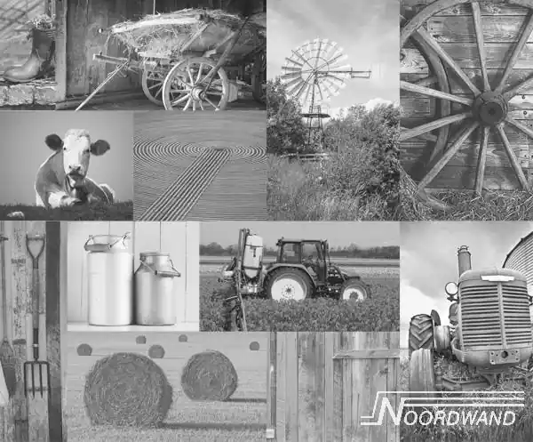 Noordwand Farmlife Fotobehang zwart-wit boerderijfoto's - 3750002 Rechtstreeks Van De Fabrikant