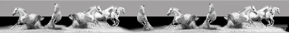 Noordwand Farmlife Jumbo rand witte paarden - 3750029 Nieuw