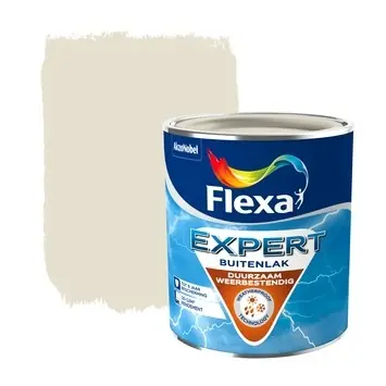 Betaalbaar Flexa Expert Buitenlak Halfglans Dekkend - RAL 9001
