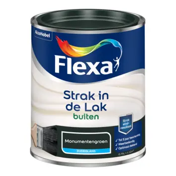Beperkt Aanbod Flexa Strak In De Lak Zijdeglans - Monumentengroen