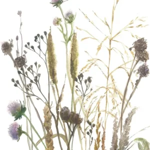 Hete Deal Marburg Fotobehang aquarel droogbloemen boeket - 35799