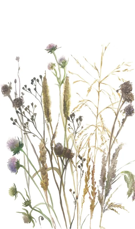 Hete Deal Marburg Fotobehang aquarel droogbloemen boeket - 35799