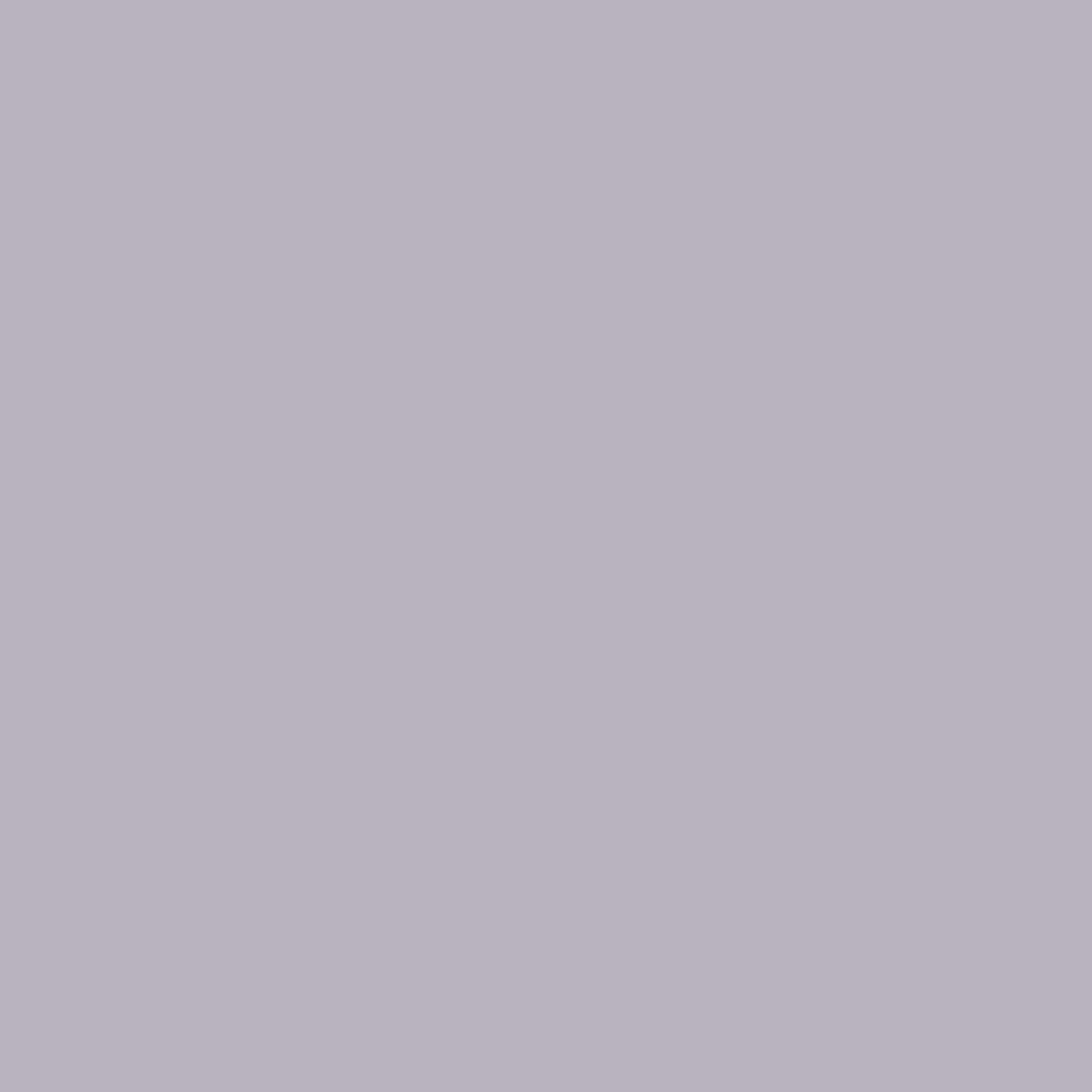 Histor MY color - Ash Grove Merkproduct