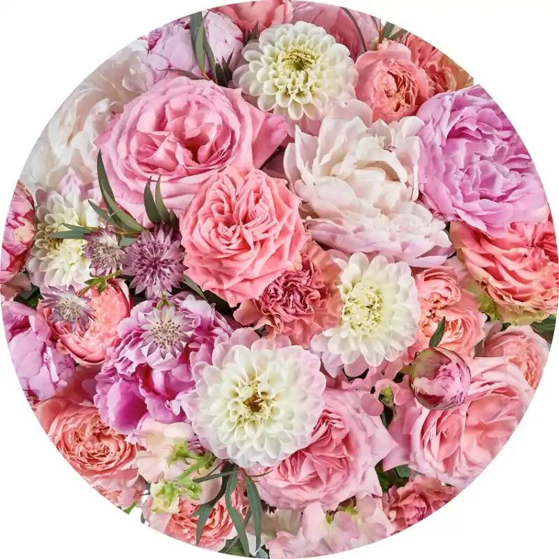 Korting Noordwand Komar Dots Behangcirkel Beautiful Blossoms - D1-103