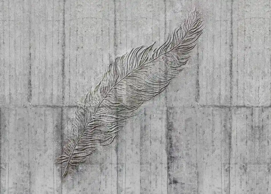 Komar Home; Komar Colours Fotobehang Concrete Feather - X7-1023 Actieprijs