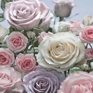 Nu Kopen Komar Home; Komar Colours Fotobehang Floraison - 8-736