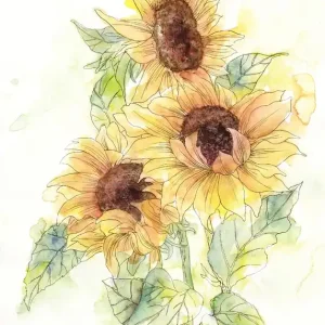 Komar Home; Komar Colours Fotobehang Girasol - X4-1008 Koopje