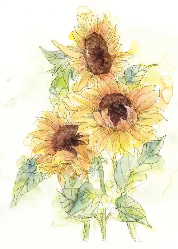 Komar Home; Komar Colours Fotobehang Girasol - X4-1008 Koopje