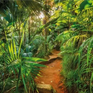 Komar Home; Komar Colours Fotobehang Jungle Trail - 8-989 Aanbieding