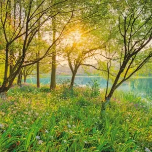 Laatste Kans Komar Home; Komar Colours Fotobehang Spring Lake - 8-524