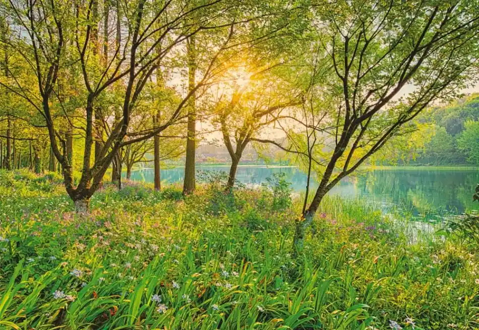 Laatste Kans Komar Home; Komar Colours Fotobehang Spring Lake - 8-524