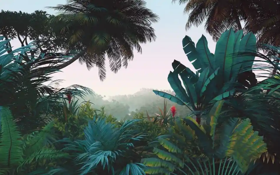 Beste Prijs Komar Le Jardin Fotobehang Jungle Morning - LJX8-060