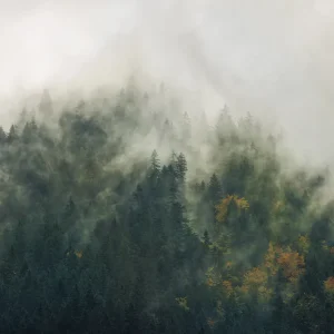 Noordwand Komar Stefan Hefele Fotobehang Tales of the Carpathians - SH036-VD3 Voordeelprijs