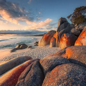 Komar Stefan Hefele; Komar Wanderlust Fotobehang Bay of Fires - SHX8-132 Korting