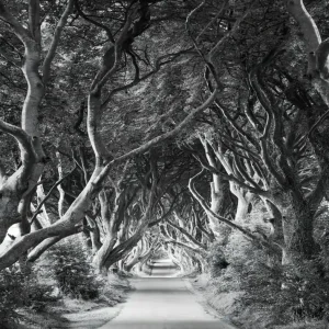 Komar Stefan Hefele; Komar Wanderlust Fotobehang Forevenue - SHX5-033 Weekendaanbieding