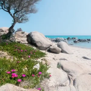 Lage Kosten Komar Stefan Hefele; Komar Wanderlust Fotobehang Mediterrane Träume - SHX9-056