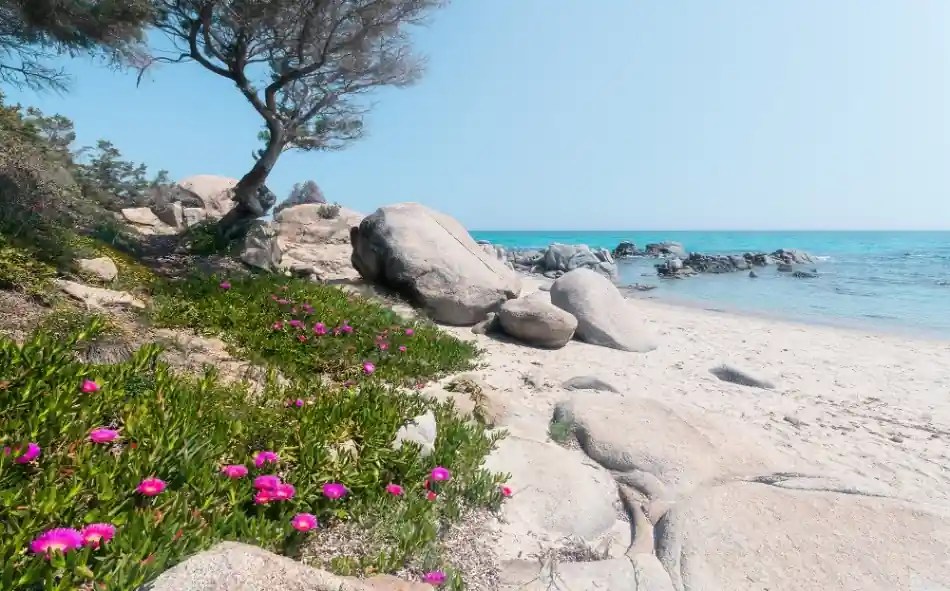 Lage Kosten Komar Stefan Hefele; Komar Wanderlust Fotobehang Mediterrane Träume - SHX9-056