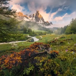 Komar Stefan Hefele; Komar Wanderlust Fotobehang The Last Paradise - SHX8-133 Merkproduct
